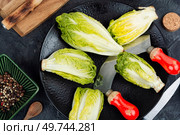 Raw green Romaine lettuce hearts. Baby cos lettuce leaves.. Group of Romaine lettuce hearts. Стоковое фото, агентство Ingram Publishing / Фотобанк Лори