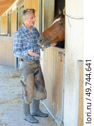 stable hand stroking horse in stables. Стоковое фото, агентство Ingram Publishing / Фотобанк Лори