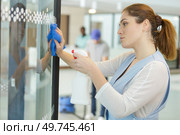 adult cleaner maid woman with spray. Стоковое фото, агентство Ingram Publishing / Фотобанк Лори