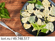 Breaded nettle or battered nettle on wooden table. Hot spring greens appetizer. Breaded nettle or battered nettle, tempura. Стоковое фото, агентство Ingram Publishing / Фотобанк Лори