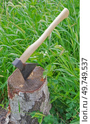Новый топор в пне. Axe stuck in birch stump. Стоковое фото, фотограф Татьяна Д / Фотобанк Лори