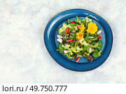 Fresh spring salad of greens,radish and dandelions. Space for text.. Fresh salad with dandelions or taraxacum. Стоковое фото, агентство Ingram Publishing / Фотобанк Лори