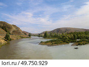 Река Чуя в Горном Алтае. Стоковое фото, фотограф Римма Тельнова / Фотобанк Лори