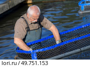 fish farm worker cleaning nets. Стоковое фото, агентство Ingram Publishing / Фотобанк Лори