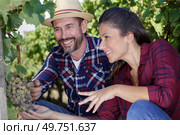 couple of farmers checking crop of grapes on ecological farm. Стоковое фото, агентство Ingram Publishing / Фотобанк Лори