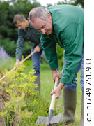 close up of men working with shovels. Стоковое фото, агентство Ingram Publishing / Фотобанк Лори