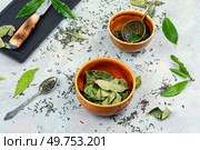 Laurel leaf drink. Fresh laurel leaves infusion. Herbalist.. Bay leaf tea, herbalism. Стоковое фото, агентство Ingram Publishing / Фотобанк Лори
