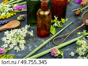 Bottles of tincture or potion and dried healthy herbs, medicinal herbs. Healing mixtures from herbs. Стоковое фото, агентство Ingram Publishing / Фотобанк Лори