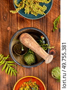 Herbal medicine. Healing herbs. Set of medicinal herbs on wooden table.. Medicinal herbs, alternative medicine. Стоковое фото, агентство Ingram Publishing / Фотобанк Лори