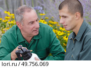 man and apprentice in garden spraying insecticide on trees. Стоковое фото, агентство Ingram Publishing / Фотобанк Лори