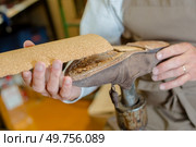 an experienced shoemaker at work. Стоковое фото, агентство Ingram Publishing / Фотобанк Лори