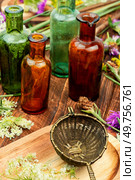 Bottles of tincture or potion and dried healthy herbs, medicinal herbs. Bottles of dry herbs for preparing healing infusions. Стоковое фото, агентство Ingram Publishing / Фотобанк Лори