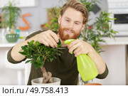 bonsai care and tending houseplant growth. Стоковое фото, агентство Ingram Publishing / Фотобанк Лори