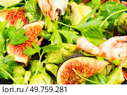 Delicious fresh salad with prawns, figs, avocado and herbs. Close up.. Fresh shrimp avocado figs salad. Стоковое фото, агентство Ingram Publishing / Фотобанк Лори