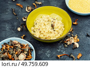 Vegetarian lunch, pearl or millet porridge with wild mushrooms. Healthy content.. Mushroom porridge for breakfast. Стоковое фото, агентство Ingram Publishing / Фотобанк Лори