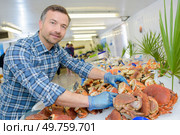 a portrait of a fishmonger selling crabs. Стоковое фото, агентство Ingram Publishing / Фотобанк Лори