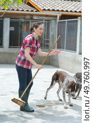 cleaning time for kennel assistant. Стоковое фото, агентство Ingram Publishing / Фотобанк Лори