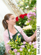 a florist searching a flower. Стоковое фото, агентство Ingram Publishing / Фотобанк Лори