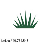 Bush vector illustration. The bush metaphor resonates with tenacity and growth found in nature Blooming foliage in garden creates visually captivating tapestry greenery The bush concept encapsulates. Bush. The botanical allure herb-laden thicket showcases natures diversity. Стоковая иллюстрация, агентство Ingram Publishing / Фотобанк Лори