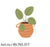 Flower pot. Vector illustration. The vegetative growth plant indicates its overall health and vitality The flowery fragrance blooms captivates senses The flowered curtains bring touch elegance to room. Flower pot. The garden is sanctuary for variety flora and fauna. The blossoming flowers signify arrival spring. Стоковая иллюстрация, агентство Ingram Publishing / Фотобанк Лори