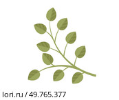 Leaves vector illustration. In realm botany, leaves and foliage embody very essence life Growing garden instills deep appreciation for intricate world leaves Leaves grow and intertwine, creating lush. Leaves. Blooms and blossoms are poetic expression carefully tended garden. Стоковая иллюстрация, агентство Ingram Publishing / Фотобанк Лори