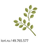 Leaves vector illustration. Leaves grow gracefully, weaving vibrant tapestry in heart garden The leaves metaphor eloquently describes intricate ballet nature Cultivating blossoms and petals. Leaves. In botanical realm, leaves and foliage symbolize essence life. Стоковая иллюстрация, агентство Ingram Publishing / Фотобанк Лори