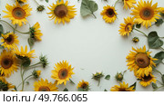 A group of bright sunflowers with green leaves set against a white background.. Group of Sunflowers With Green Leaves. Стоковое фото, агентство Ingram Publishing / Фотобанк Лори