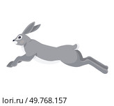 Wild hare in action or rabbit is jumping. Cute fast bunny or gray coney runs away vector illustration for label or poster. Animal is running. Natures graceful and playful defender of the fields. Wild hare in action or rabbit is jumping. Cute fast bunny or gray coney runs away. Animal is running. Стоковая иллюстрация, агентство Ingram Publishing / Фотобанк Лори