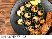 Escargot or snails seasoned with butter. Snails delicates on rustic wooden table.. Dish of snails in spicy sauce, Spanish food. Стоковое фото, агентство Ingram Publishing / Фотобанк Лори