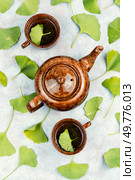 Teapot and cup of herbal tea, green Ginkgo biloba leaves.. Ginkgo tea with freshen leaf. Стоковое фото, агентство Ingram Publishing / Фотобанк Лори
