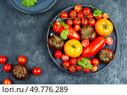 Assortment of ripe tomatoes varieties. Platter of colorful tomatoes and cherry tomatoes.. Pile of fresh multicolored ripe tomatoes. Стоковое фото, агентство Ingram Publishing / Фотобанк Лори