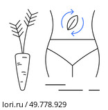 Carrot beside an outline of a womans body wearing underwear with digestive arrows around stomach area. Ideal for nutrition, wellness, dieting, fitness, healthy lifestyle, metabolism, and healthcare. Healthy Eating and Waistline Illustration with Carrot and Body in Underwear. Стоковая иллюстрация, агентство Ingram Publishing / Фотобанк Лори