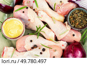 Raw uncooked chicken legs or drumsticks with spices, meat with ingredients for cooking.. Raw chicken leg pieces with spices. Стоковое фото, агентство Ingram Publishing / Фотобанк Лори