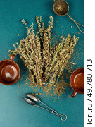 Bunch of wormwood herb on a table. Medicinal aromatic herbs, healing herbs. Dried wildflowers wormwood. Стоковое фото, агентство Ingram Publishing / Фотобанк Лори