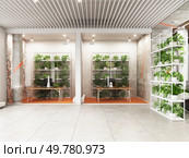 Modern office with plants, glass partitions, and industrial design. 3d render. Modern office with plants, Стоковое фото, агентство Ingram Publishing / Фотобанк Лори
