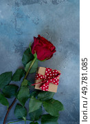 Crimson red rose flower with gift box, Valentine’s Day background. Crimson red rose flowers. Стоковое фото, агентство Ingram Publishing / Фотобанк Лори