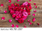 bunch of mauve roses for valentines day on wooden table background. bunch of fresh mauve roses. Стоковое фото, агентство Ingram Publishing / Фотобанк Лори