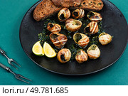 Escargots de Bourgogne, baked snails with garlic, butter and greens. French traditional food.. Mediterranean escargot delicacy snails. Стоковое фото, агентство Ingram Publishing / Фотобанк Лори