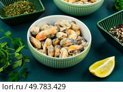 Frozen mussels without shells in a bowl on the kitchen table.. Cleaned frozen mussels. Стоковое фото, агентство Ingram Publishing / Фотобанк Лори
