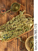 Dried wormwood herb for medicinal tea. Wormwood in phytotherapy. Rustic style. Herb for medicinal tea. Wormwood, dried medicinal herbs. Стоковое фото, агентство Ingram Publishing / Фотобанк Лори