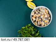 Heap of frozen peeled mussel meat, iced mussels.. Tasty frozen seafood. Стоковое фото, агентство Ingram Publishing / Фотобанк Лори