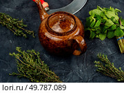 Freshly brewed herbal tea in a glass teapot on a concrete kitchen table. Tea composition with mint leaf.. Glass teapot with herbal tea. Стоковое фото, агентство Ingram Publishing / Фотобанк Лори