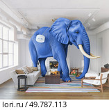 Large elephant in a living room with colorful rug and sofa. 3d render. Large elephant in a living room. Стоковое фото, агентство Ingram Publishing / Фотобанк Лори