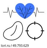 Blue heart with veins, kidney shape, target symbol, and EKG line. Ideal for health, medical, vitality, precision diagnosis organ care wellness themes. Line metaphor. Blue heart with veins, kidney shape, target symbol, and EKG line, representing holistic health concepts. Стоковая иллюстрация, агентство Ingram Publishing / Фотобанк Лори