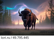 A majestic American bison, its brown fur glistening with dew, standing regally in the middle of a mysterious autumn forest, shrouded in a thick layer of fog, Стоковое AI-изображение, AI-художник Александр Поташев / Фотобанк Лори