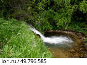 Водопад на реке Молочка, Плато Лаго-Наки, Адыгея. Стоковое фото, фотограф Оглоблин Андрей Николаевич / Фотобанк Лори