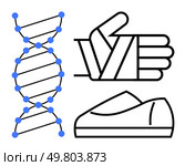 DNA helix structure with blue nodes, bandaged hand, and casual shoe. Ideal for medical studies, genetics, healthcare, sports injury, orthopedics, anatomy, lifestyle topics. Line metaphor. DNA Helix, Bandaged Hand, and Casual Shoe Representing Genetics, Injury Care, and Footwear. Стоковая иллюстрация, агентство Ingram Publishing / Фотобанк Лори