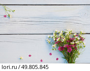 Полевые цветы. Букет белых и розовых цветов на светло-голубом потертом деревянном фоне. Стоковое фото, фотограф AllNikArt / Фотобанк Лори