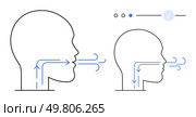 Two human head outlines illustrating airflow during breathing process arrows showing airflow direction. Ideal for medical education, respiratory system study, health awareness, physiology lessons. Diagram of Breathing Process in Human Heads Highlighting Airflow Direction and Breathing Efficiency. Стоковая иллюстрация, агентство Ingram Publishing / Фотобанк Лори