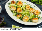 Scallops plated elegantly with a basil creamy sauce. Sea scallop fresh seafood fried. Seafood, roasted scallops. Стоковое фото, агентство Ingram Publishing / Фотобанк Лори